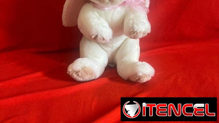 Peluches grandes nuevos