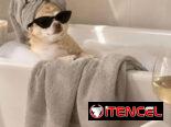 Toalla de Baño Majestic Imperial Gris Clara  💲 18 USD. 100% algodón. Lee y encargala al 📞56249037