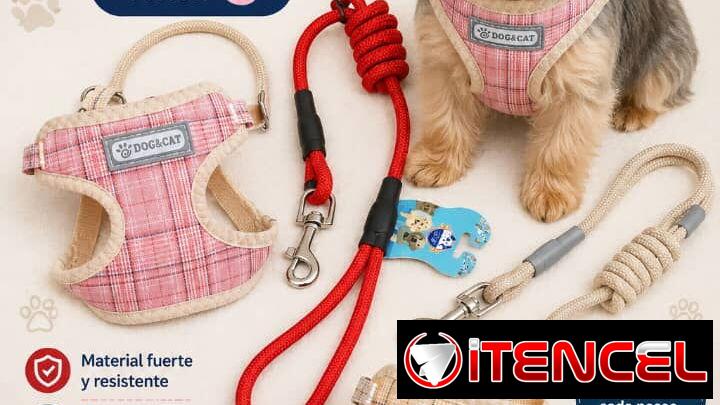 Pechera con correa talla S para perros pequeños