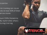GLUTAMINA PLATINIUM MUSCLETECH