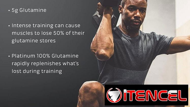 GLUTAMINA PLATINIUM MUSCLETECH