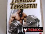 Suplementos Masculinos