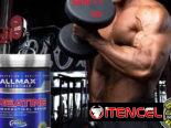 CREATINA MONOHIDRATADA (ALLMAX) 400GR-80SERV