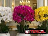 Flores artificiales