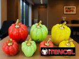 Adornos de frutas