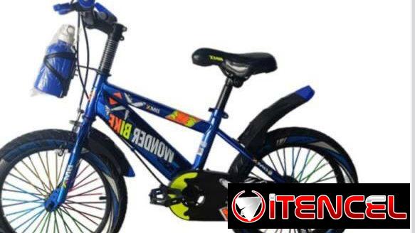 Bicicleta con cesta