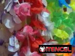 Hawaiana collores