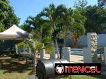 ⚡️⚡️ Casa Ernesto de 4 habitaciones con piscina grande en renta.  Whatssap 👉5 2959440