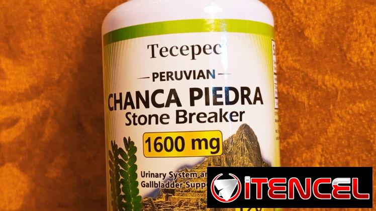 Chanca Piedra