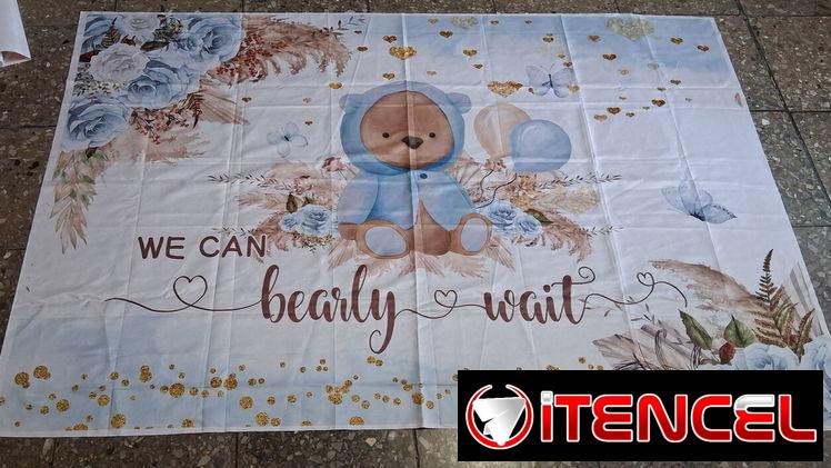 Revelación de Sexo bebe