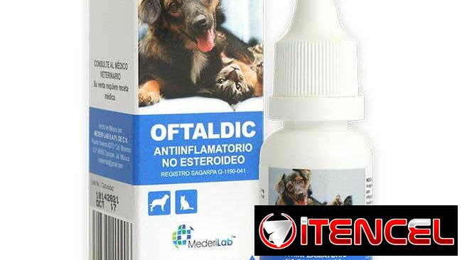 Dexametasona Neomicina Diclofenaco Gentamicina para perros y gatos
