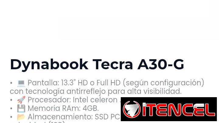 Dynabook Tecra A30-G