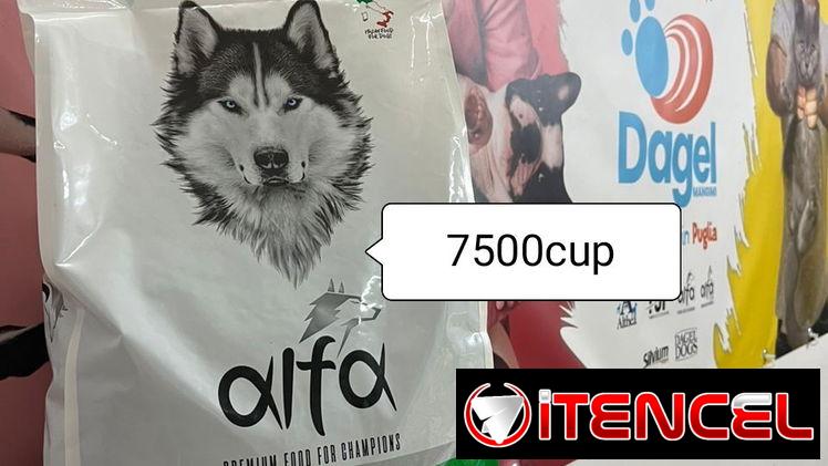 Pienso para perros marca Alfa tengo para cachorros y adultos de 4kg y 20kg