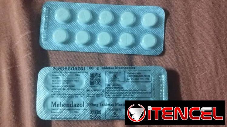 Mebendazol 100mg