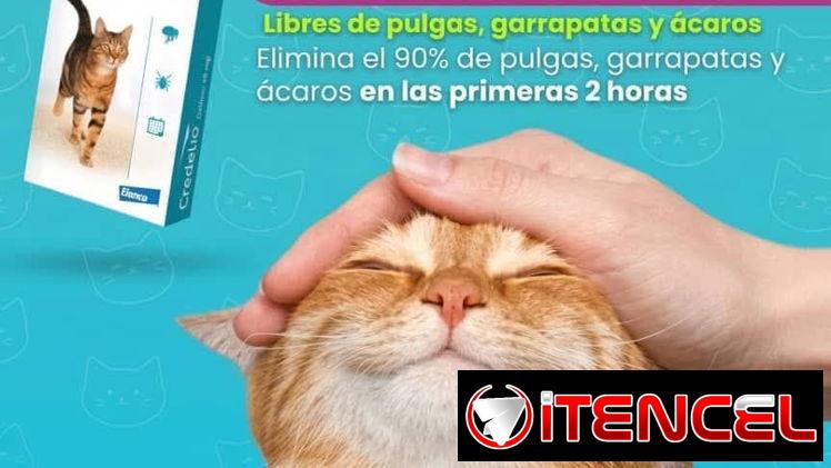 CREDELIO para gatos 48mg