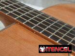 Acoustic Guitar New model Solid Cedar Top, (Canadian brand)