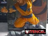 FIGURAS DE ANIME COLECCIONABLES!!!