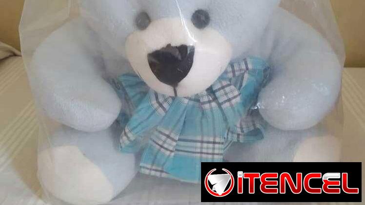 Oso de peluche Nuevo