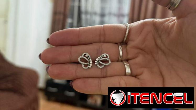 Aretes Pandora