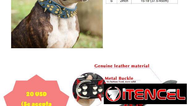 COLLAR DE LUJO DE PIEL GENUINA ¡CON DESCUENTO!