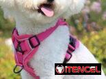 Pecheras para mascotas