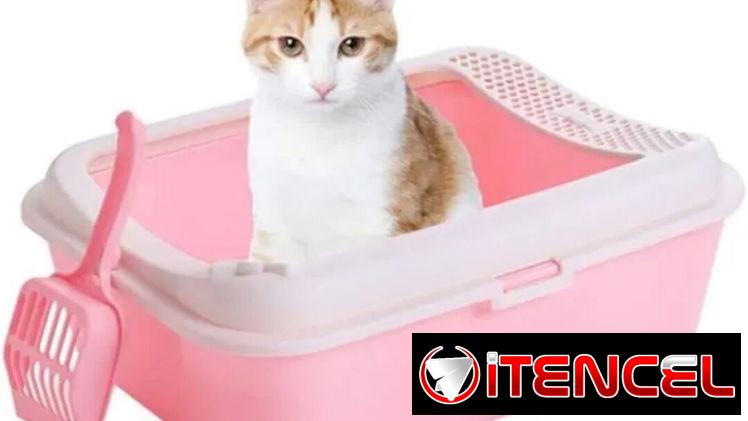 ARENEROS PARA GATOS 🐱    DOG&CAT