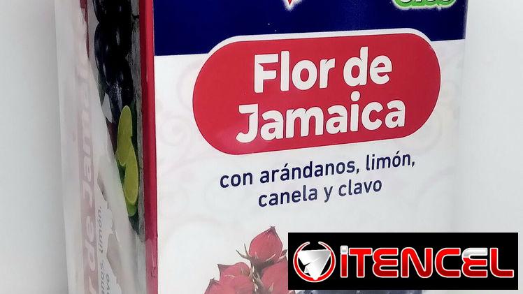Té Flor de Jamaica con arándanos, limón, canela y clavo