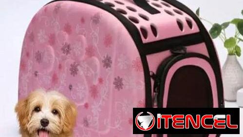 Bolsa para transportar perros o gatos .