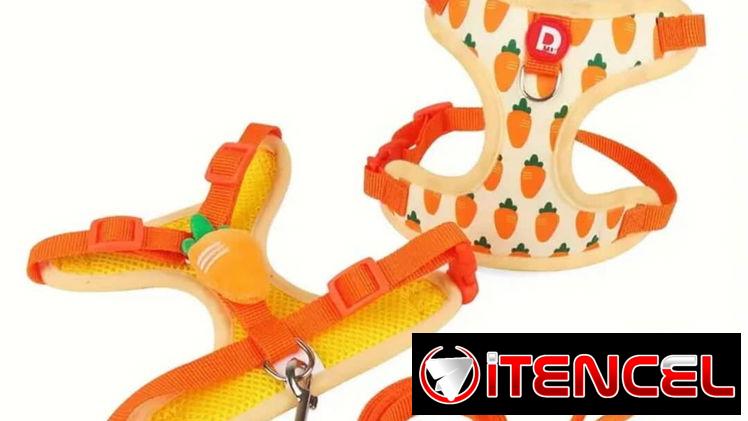 Correas con pecheras animadas !!! Para perritos o gatitos preciosas y diseños únicos