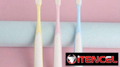 Pasta y cepillos de dientes para perros
