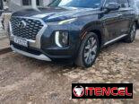 Vendo o negocio Hyundai palisades 2020 básico