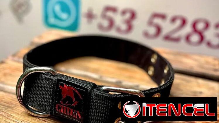 COLLAR DE PASEO 3.8 REFORZADO