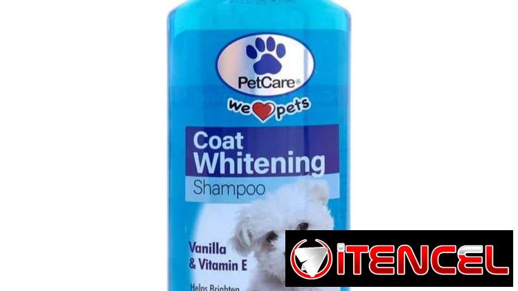 Shampoo para Perros 🐕  DOG&CAT