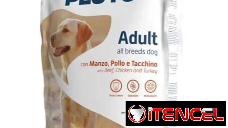 Pienso para perros