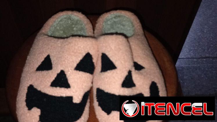 ZAPATILLAS O PANTUFLAS.