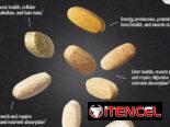 ANIMAL PACK 30SERV. 58234161 FITNESSARMY