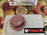 Vaporizador