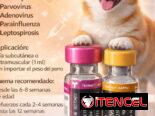 Pentavalente Americana Novibac Lepto4