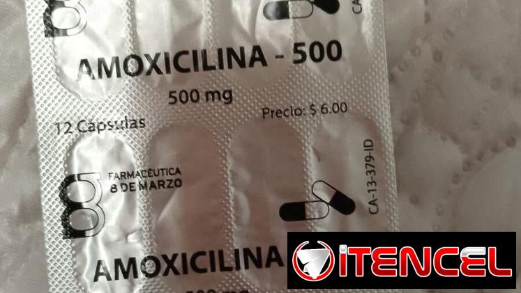 AMOXICILINA MG 500 12 CASULAS