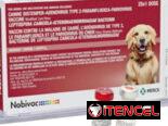 Pentavalente americana