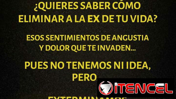 FUMIGADOR -EXTERMINADOR FUMIGACIÓN  DE Cucaracha Chinche Garrapata Pulga Ratones Ratas Hormigas Moscas Mosquitos