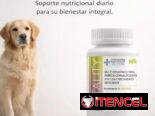 Multivitaminas Vitality para perros