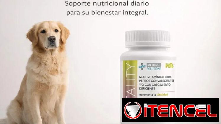 Multivitaminas Vitality para perros