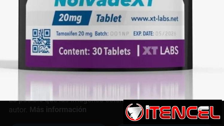 Novaldex – Tamoxifeno – Clomifeno – Cardo Mariano – Pregnyl de Schering-Plough