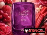 Perfumes Árabes Originales para Damas con Garantía y Mensajería Gratuita en la Habana 🌸💎