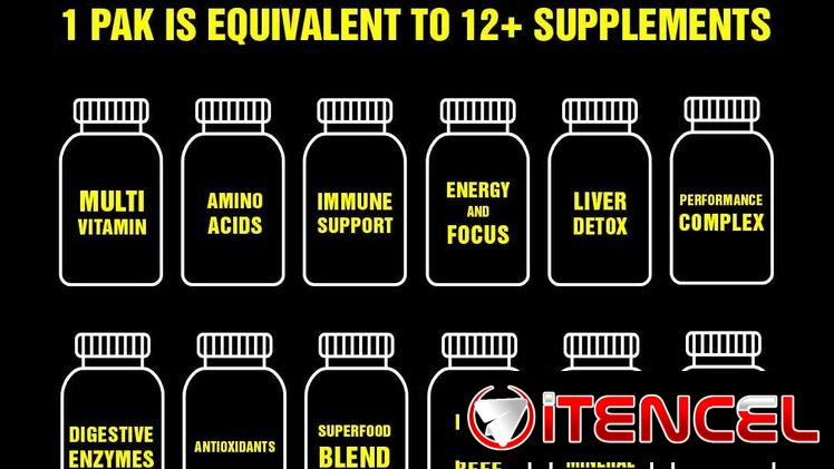 ANIMAL PACK 30SERV. 58234161 FITNESSARMY