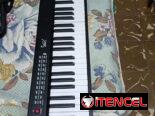 200 USD, Zelle o Cup al cambio. Piano plegable de 88 teclas, con sus accesorios (cargador y cable) tiene batería incluid