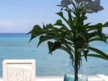 ⛱️ RENTA DE CASA CON PISCINA EN SANTA FÉ, PLAYA – CAPACIDAD 10 PERSONAS – PISCINA Y ACCESO AL MAR ⛱️