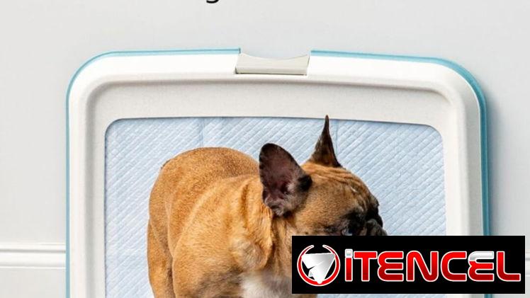 Soporte  Para Mascotas