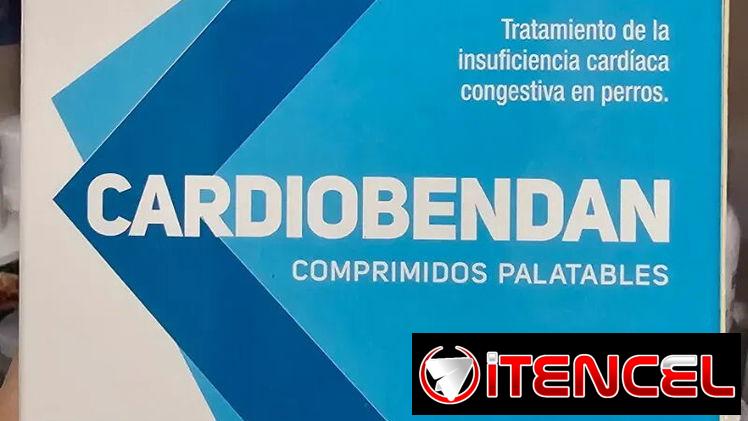 CARDIOBENDAN (Pimobendan 10 mg)